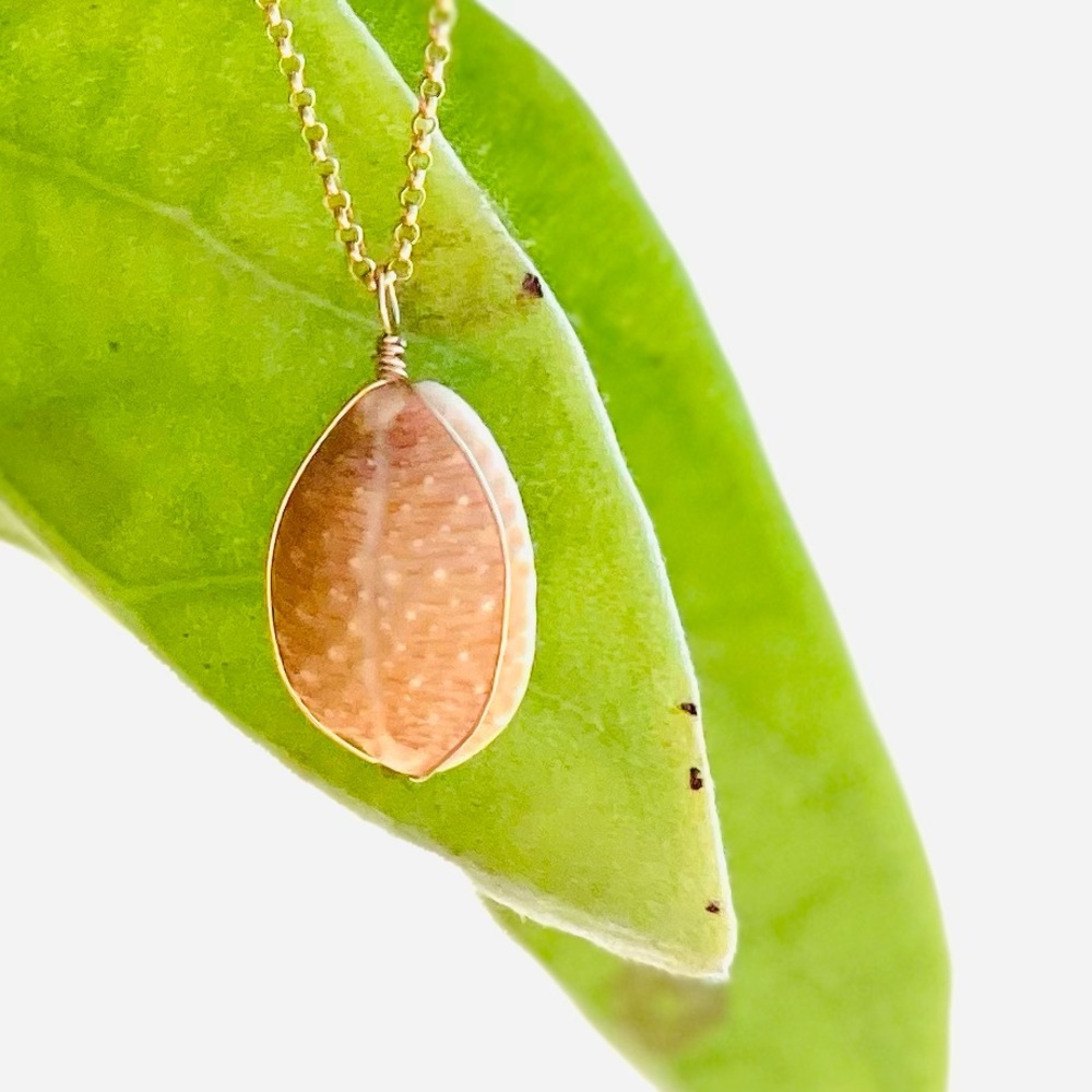 14k Gold Filled Necklace with Shell